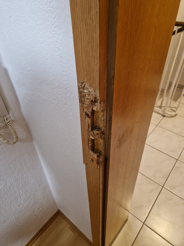 Technische Hilfeleistung Technische Hilfeleistung