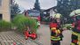 Brand