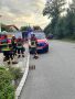 Brand