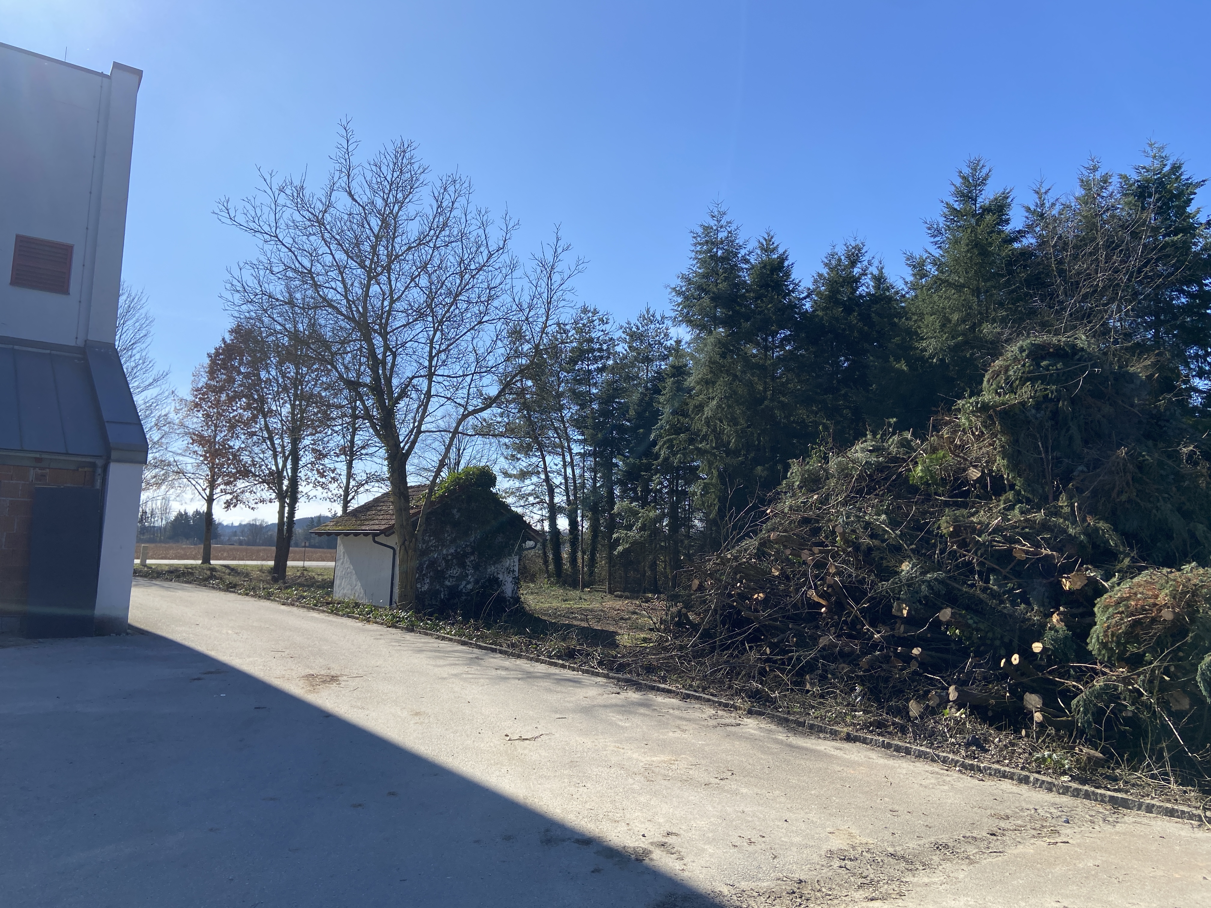 Umbau Februar (3)